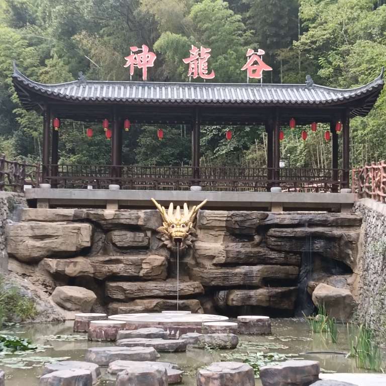爱情$笨笨海报
