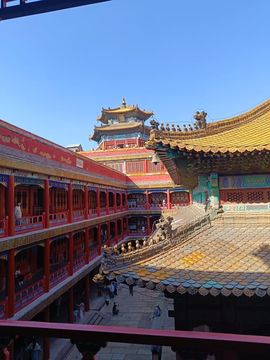 萌新宝宝cblld-的图片