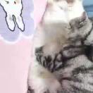 挑国5