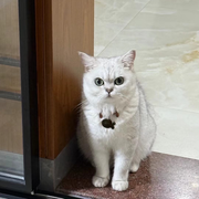 ゞ吃喝★玩乐つ😘