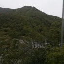 陈炎城