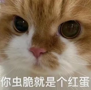 洁儿宝宝呀主播图片