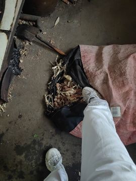 99。唱歌滴的图片