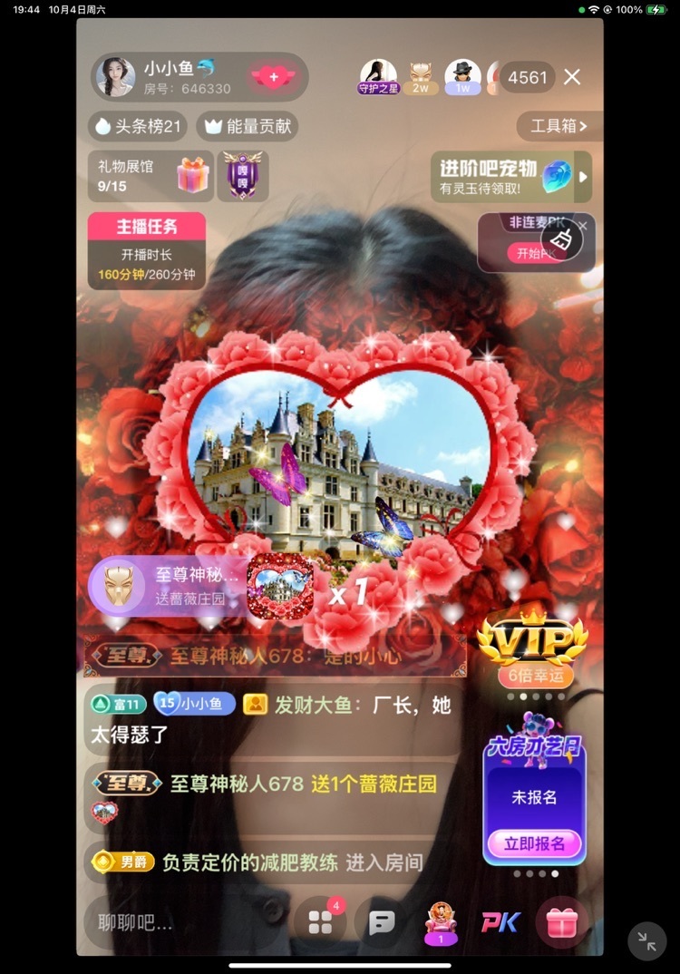 小小鱼🐬主播图片
