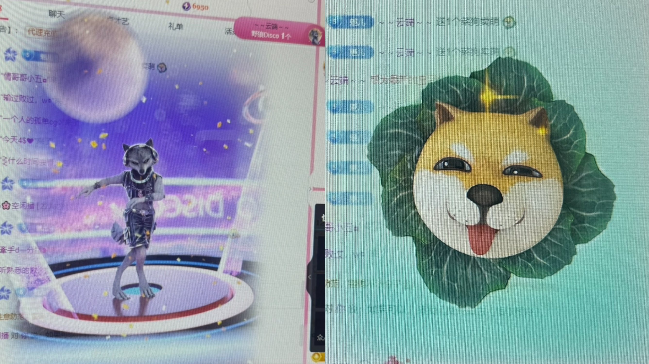 不晚🌸佳怡主播图片