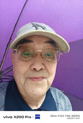 乒乓球的叉尾卷尾鸟的图片