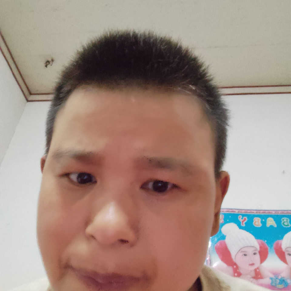 欢快皱鳃鲨☺海报