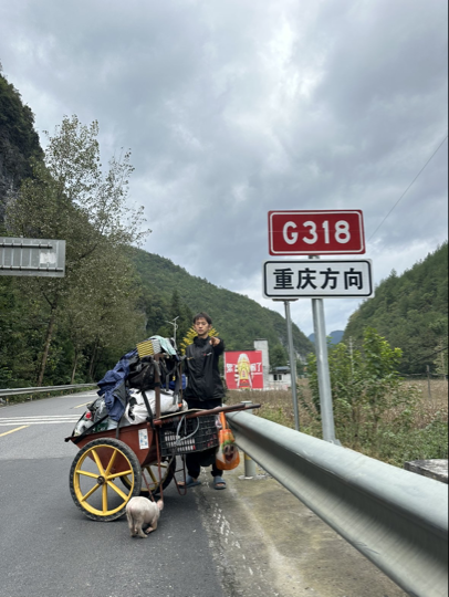 衡娃🦻海报