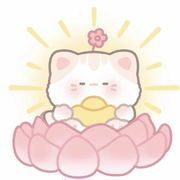 小雨170！