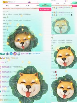 冉冉🍀好运来！的图片