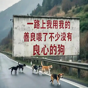 💯封心💞锁爱