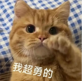 小奶尼🌙的图片