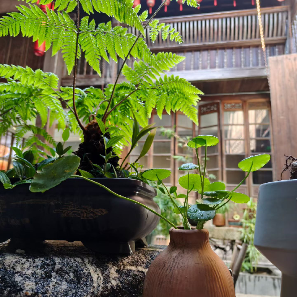 時光不语，静待花开海报