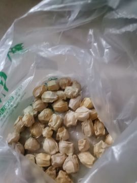 天王盖地虎虎044的图片