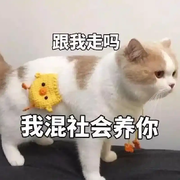 哈？你是哪个