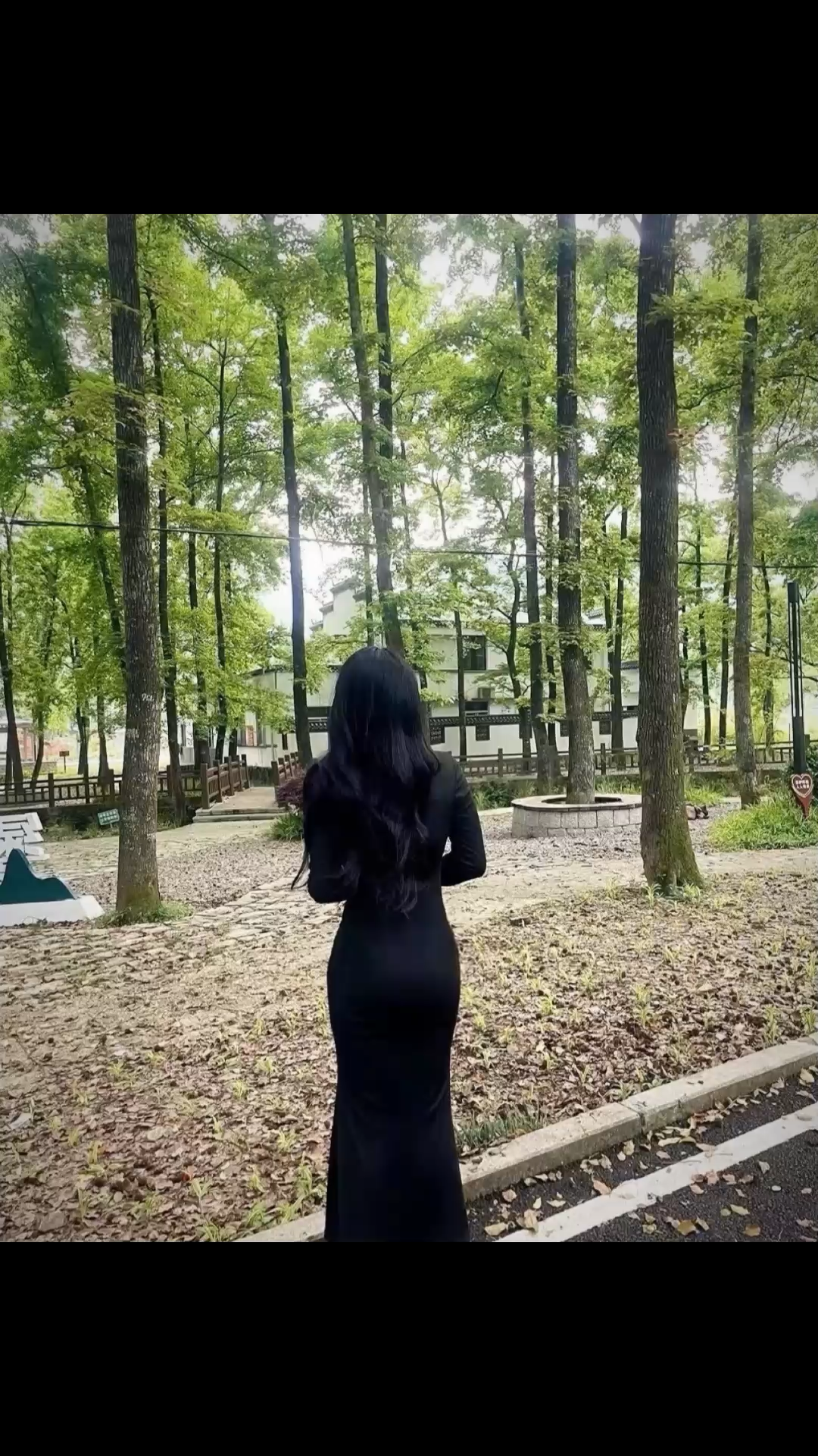 耗尽所有只为寻到一颗