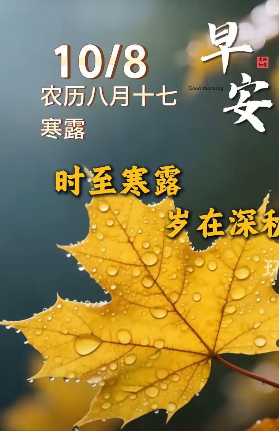 紫薇☆☆音乐频道主播图片