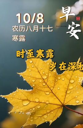 紫薇☆☆音乐频道的图片