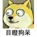 天涯g8t的头像