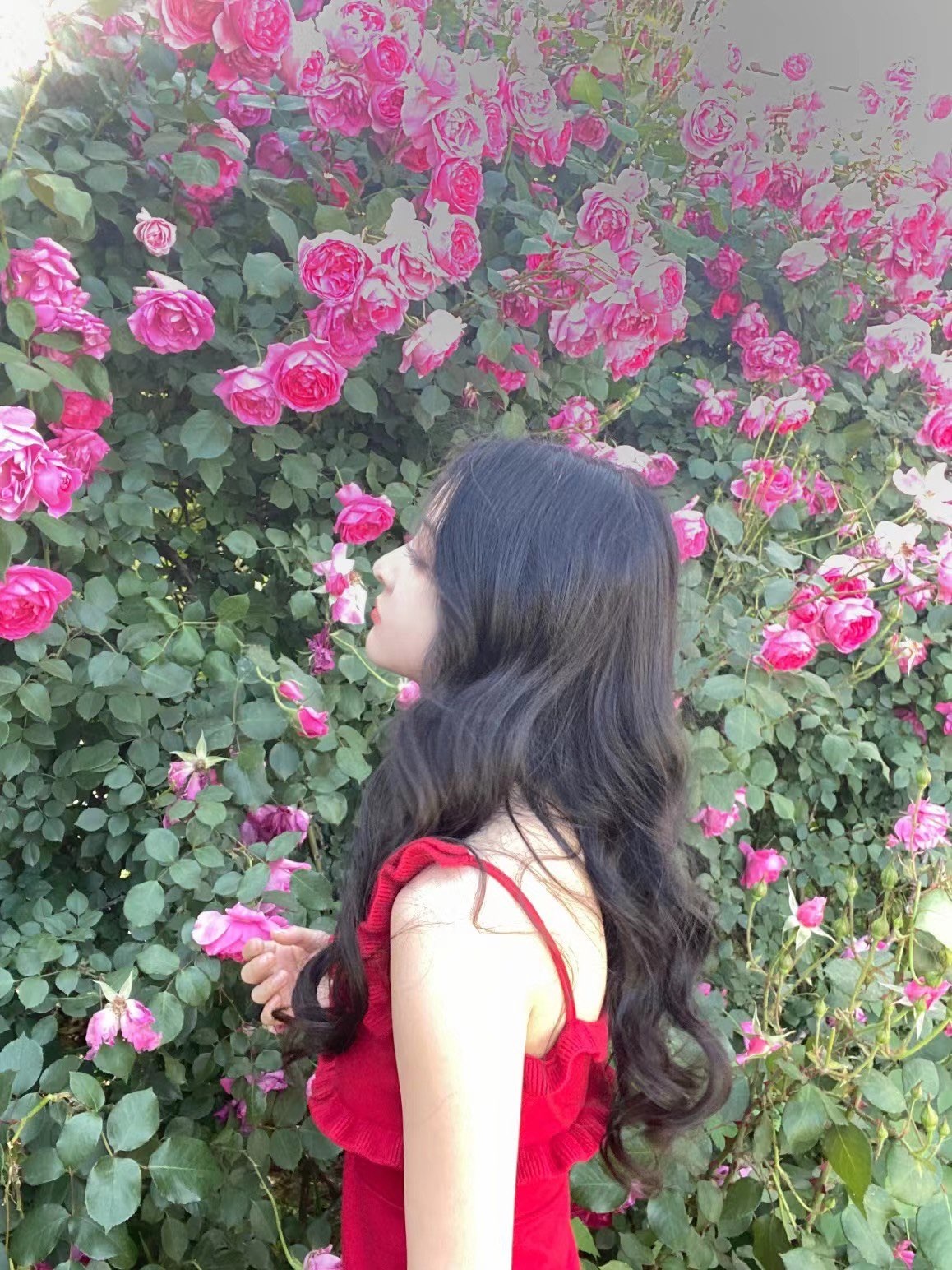 Xr小软呀主播图片