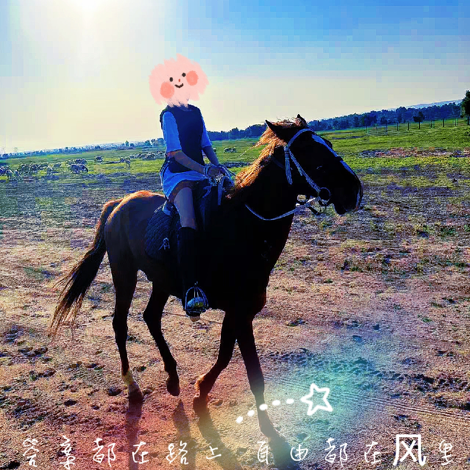 新人如初₂₃₃海报