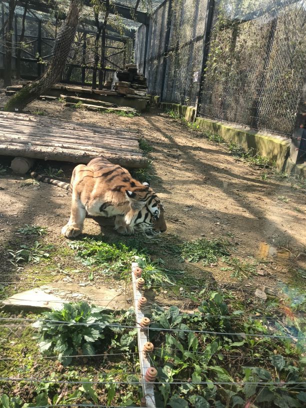 亲爱的你在想我吗冷凡主播图片