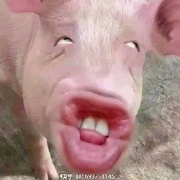杀与被杀之反杀↗