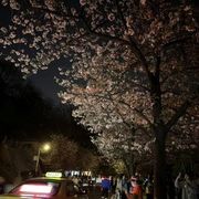 Aaa寒江孤影的头像