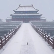 反者道之动~