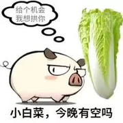 来自华盛顿的小奶瓶