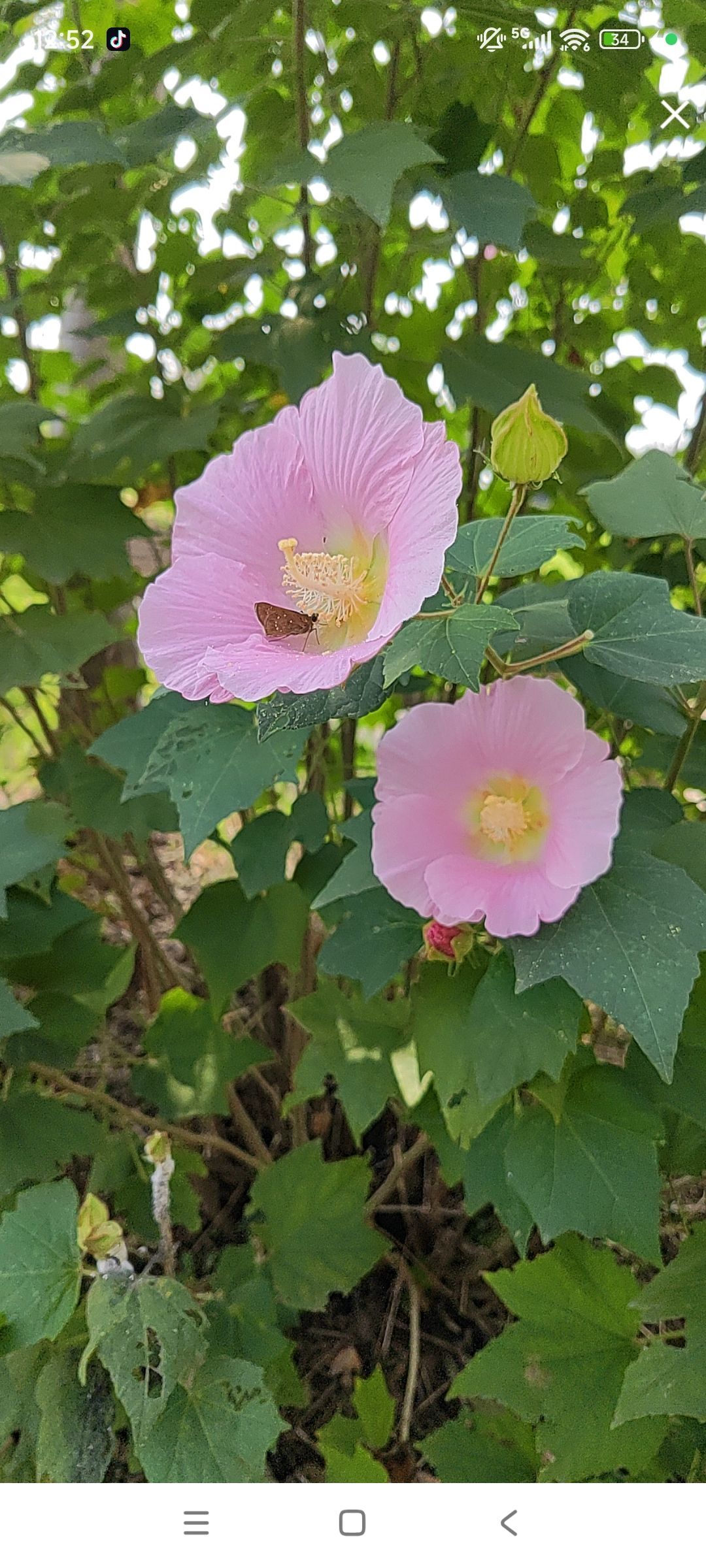婷婷💕感恩有你陪伴主播图片