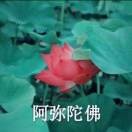 小米吉祥的头像