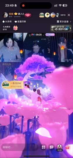 新人佳哆宝的图片