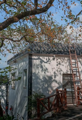 艾欣ღ好好播的图片