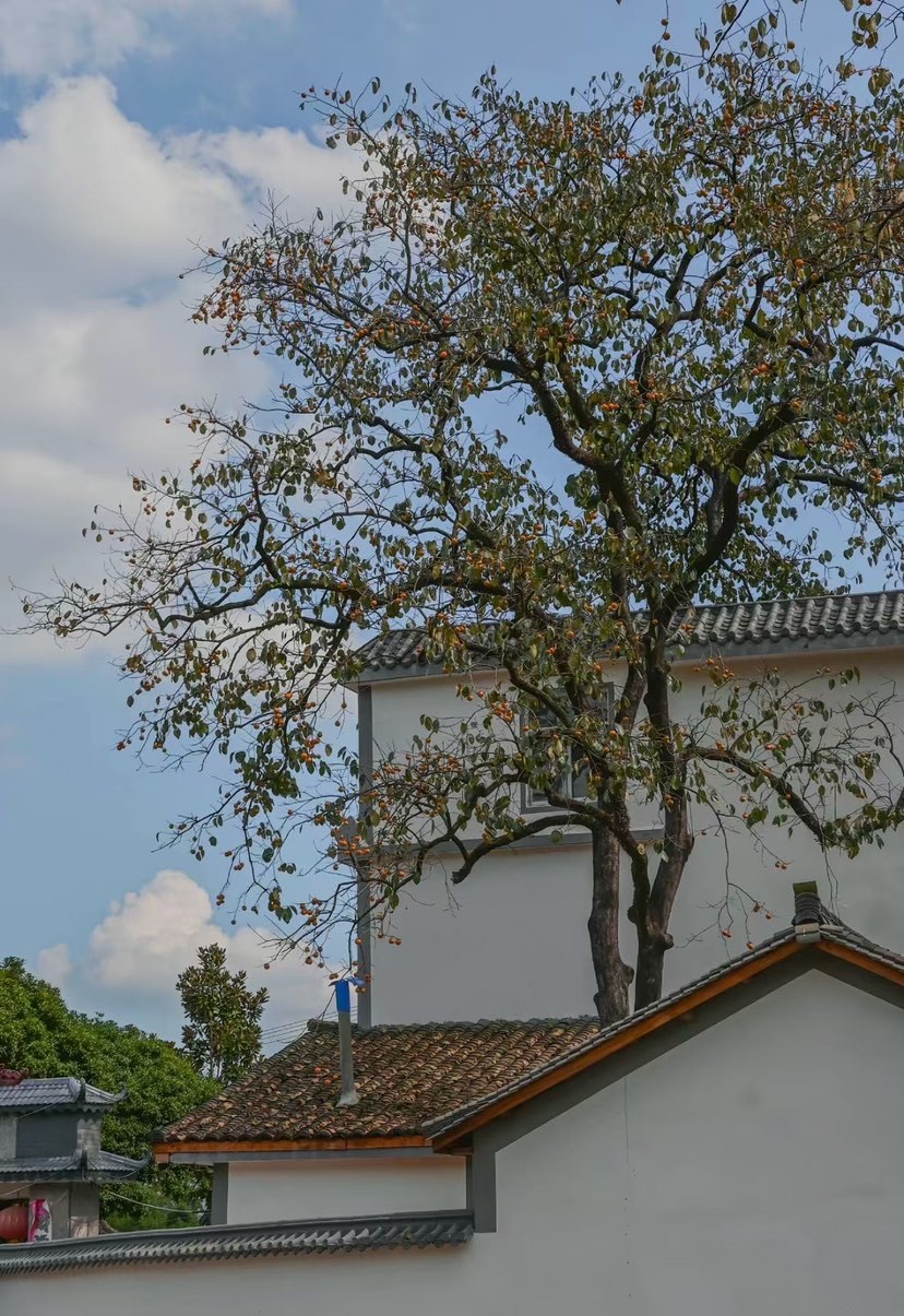 艾欣ღ等光来主播图片