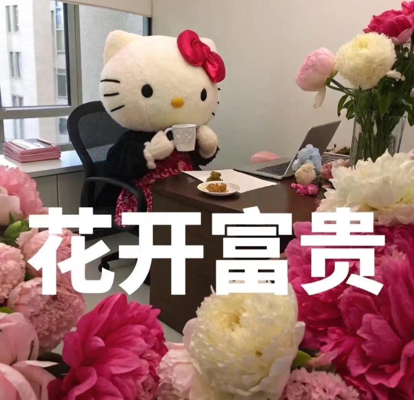 小奶尼🔥主播图片
