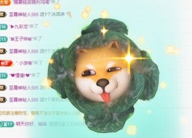 新人挣挣的图片