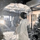 爱冬日清晨的小雪