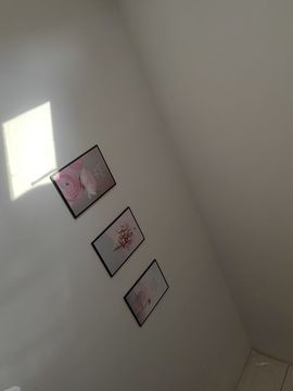 99。趴个窝的图片