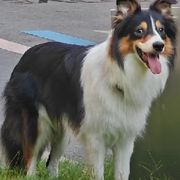 朋冉心动的头像