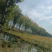 粮食❤️越来越好