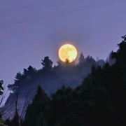 夏夜→de涼風(fēng)的頭像