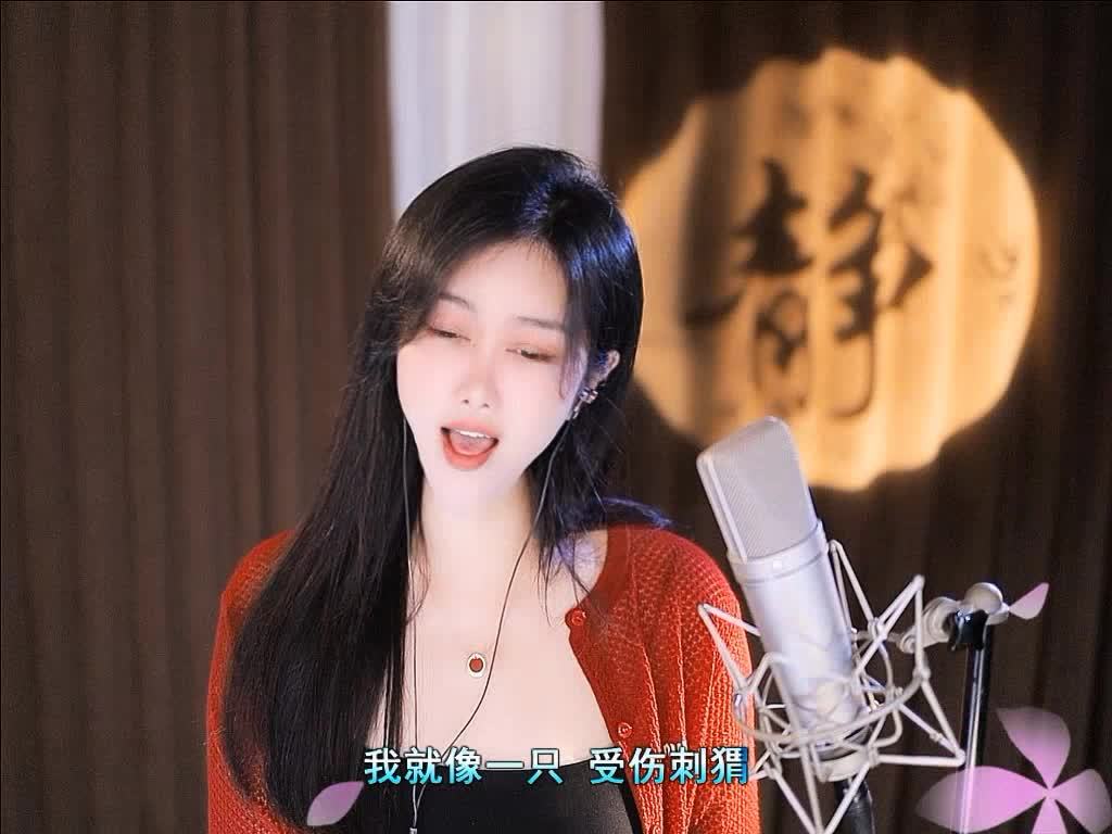 受伤的刺猬点赞哦