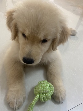 小可柔💜的图片