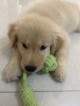 小可柔💜的图片