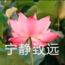 邓光秀x的头像