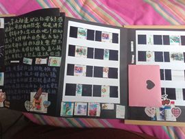 养只鹿退了的图片