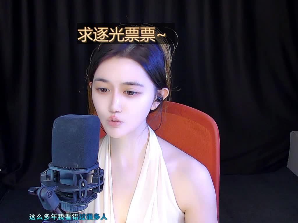 /狗狗
