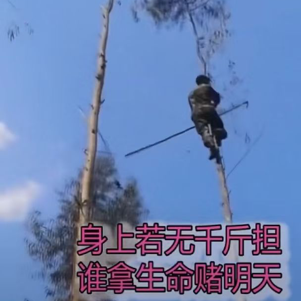 寒～枭海报