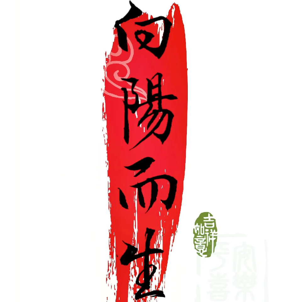 好运和光同尘海报